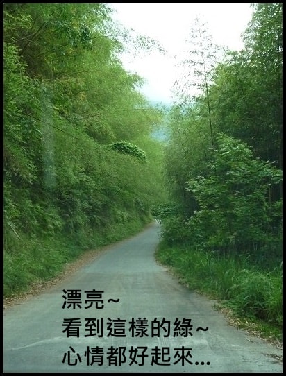 20250406-5znb1