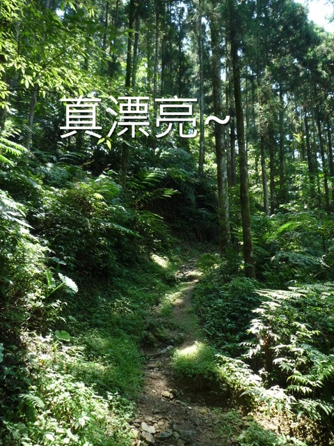 20250406-771fg
