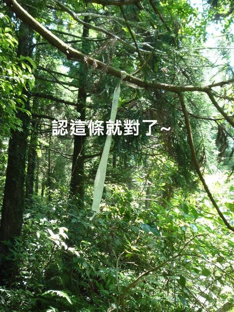 20250406-ajigi