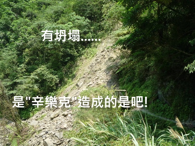20250406-ccmdx