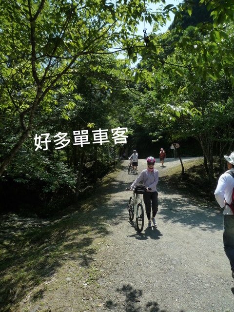 20250406-fofow