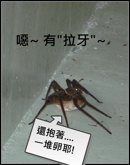 20250406-ie3pr