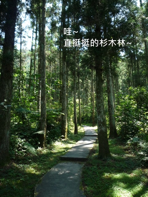 20250406-j6pix