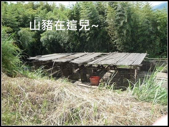 20250406-ju3at