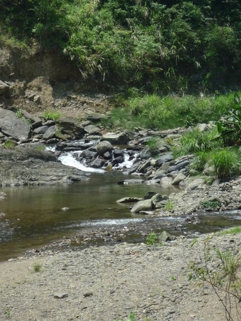 20250406-n9env