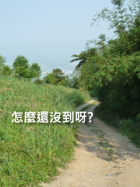 20250406-o3yw3