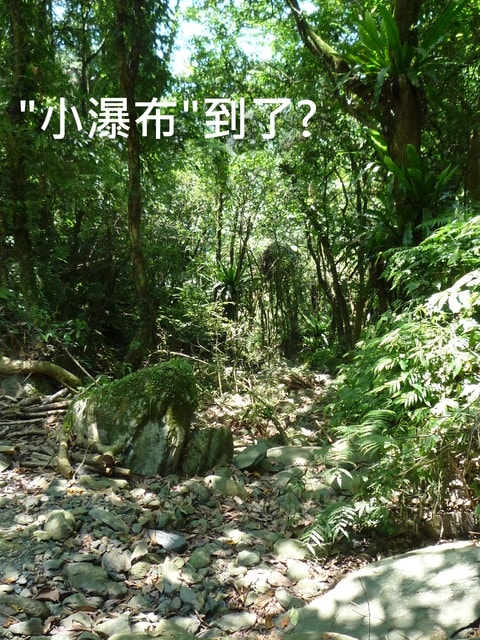 20250406-q04pk