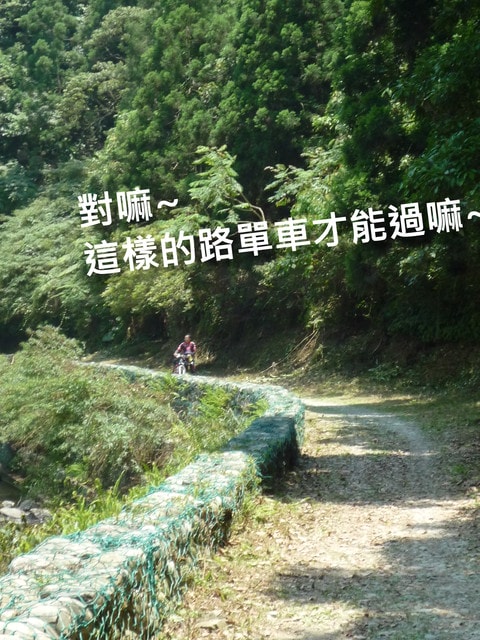 20250406-r7f9s