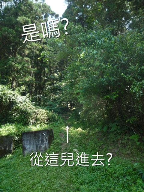 20250406-tsjg9