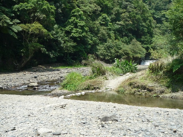 20250406-wr85n