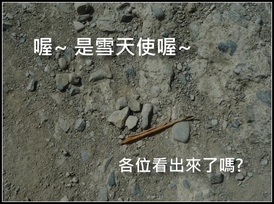 20250406-xu2f8
