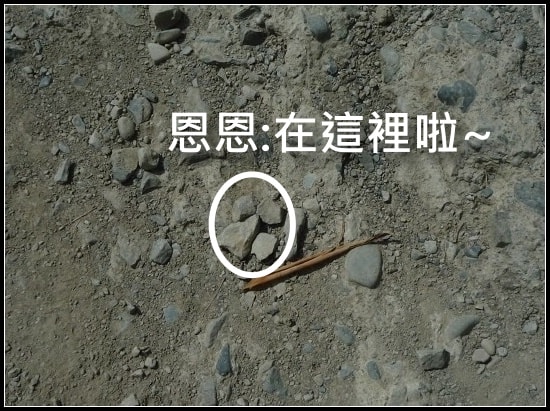 20250406-yoq4e