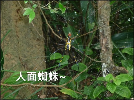 20250406-2he3c