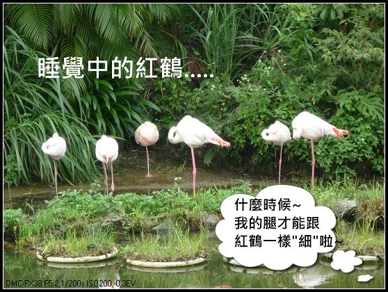 20250406-5oume