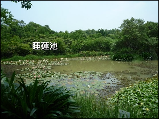 20250406-lkc5i