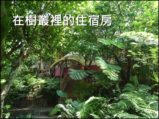 20250406-vgfmg