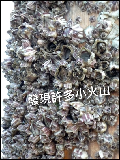20250406-8k62p