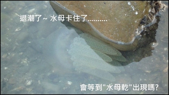 20250406-o80mr
