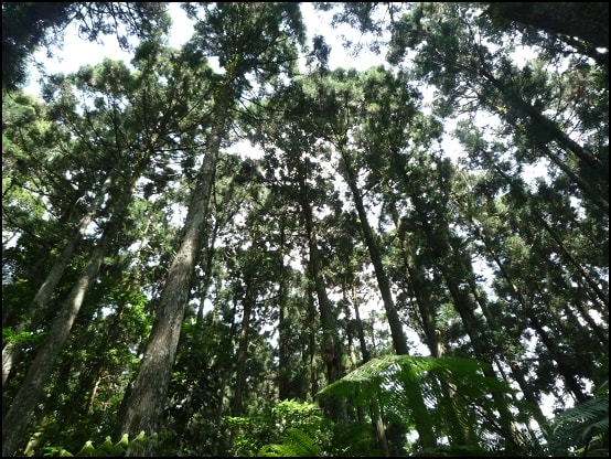 20250406-u7if3