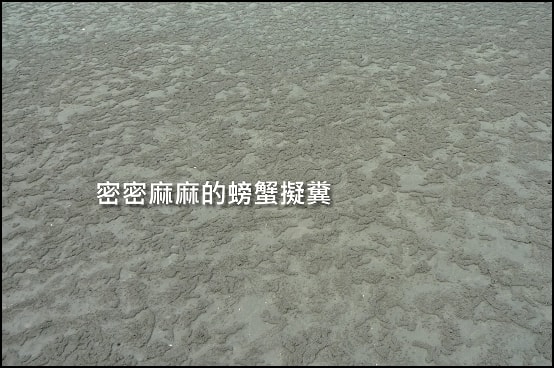 20250406-wyf5s