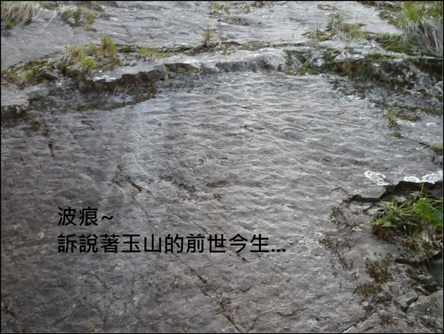 20250406-2fxwr