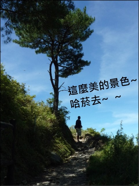 20250406-jc7pj