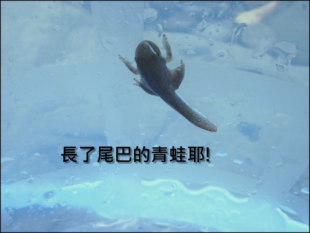 20250406-yktbn