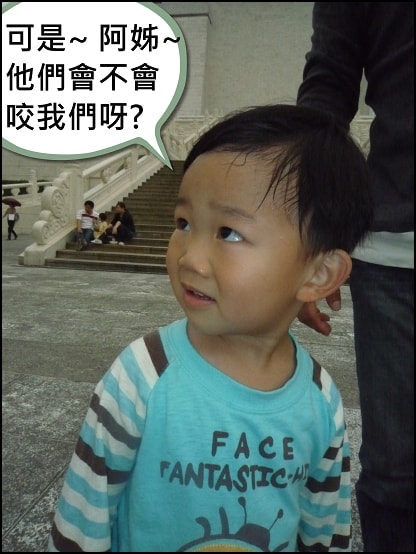 20250406-qfsuf