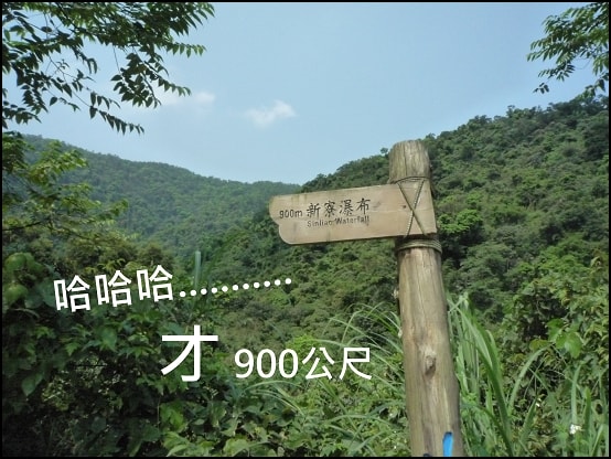 20250406-7anez