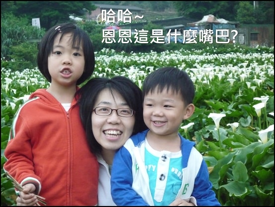 20250406-8p8ub