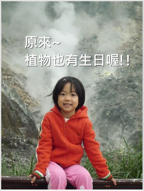 20250406 cy8qe