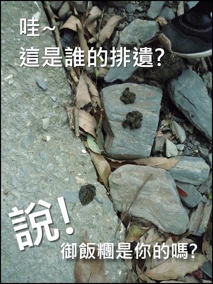 20250406-koz7p