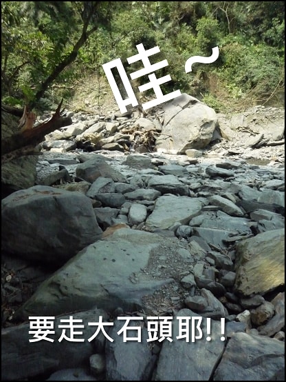 20250406-ric55