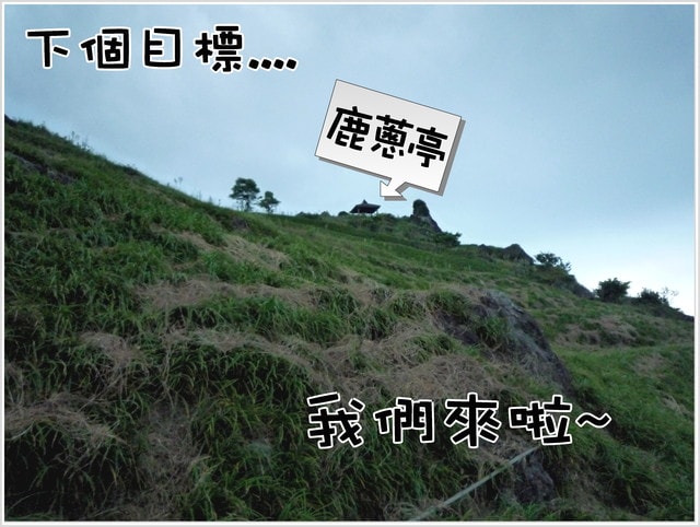 20250406-6ijgd