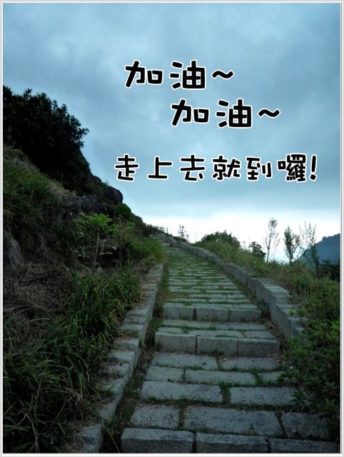20250406-8p4w1