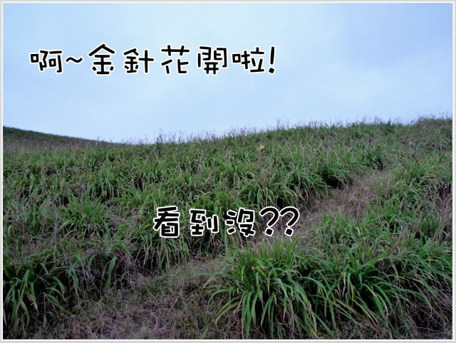 20250406-9dg6m