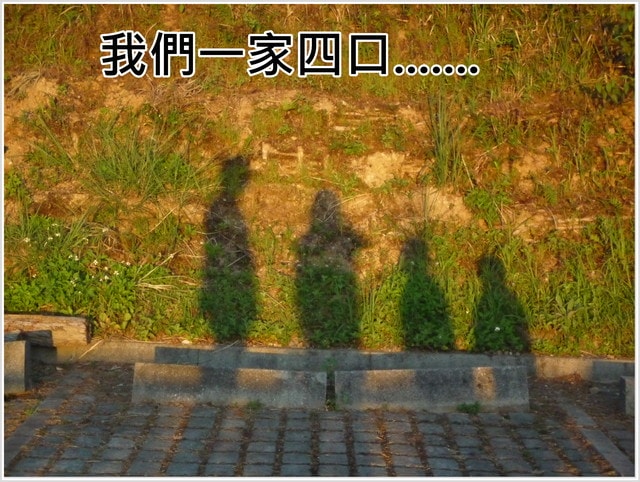 20250406-dj3p3