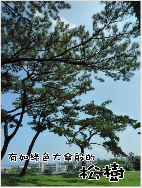20250406-ihnm2