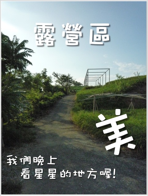 20250406-qah1o