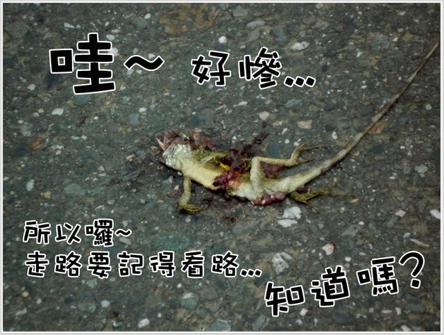 20250406-uggr6