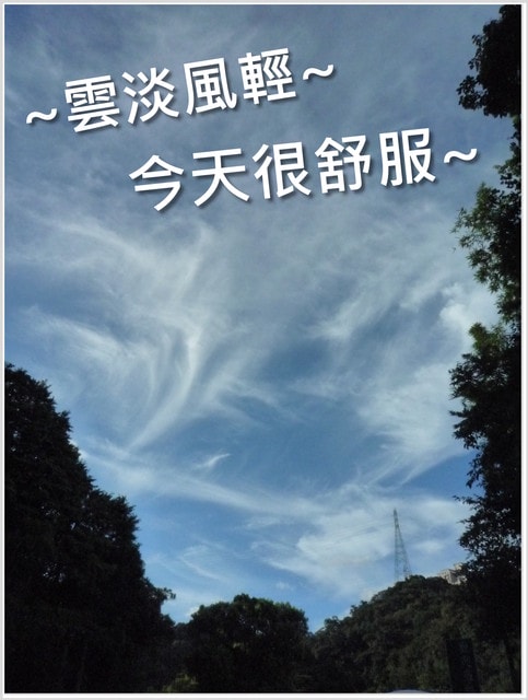 20250406 rtdqp