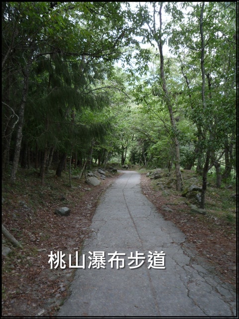 20250406-0wmqn