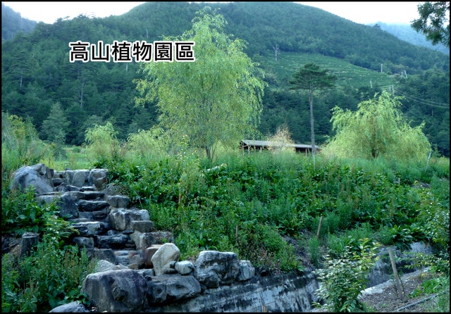 20250406-2yl9f