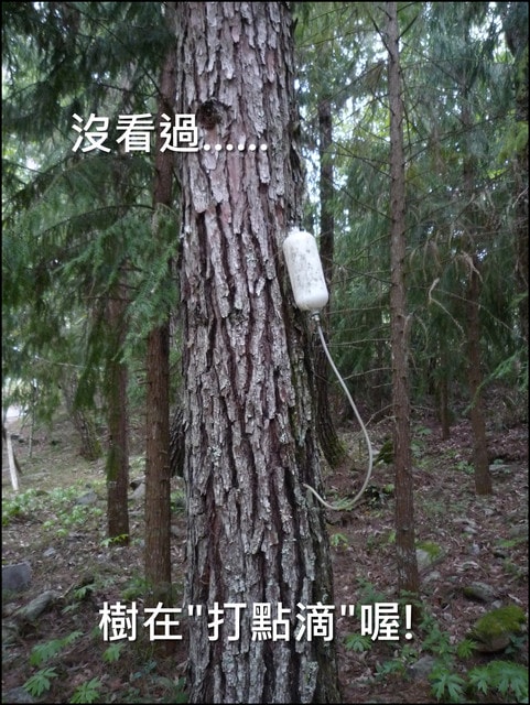 20250406-4perj