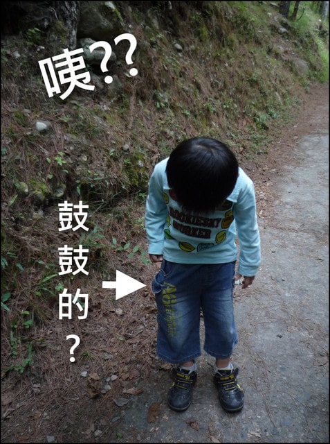 20250406-gknk9