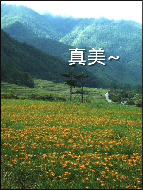 20250406-jix6k