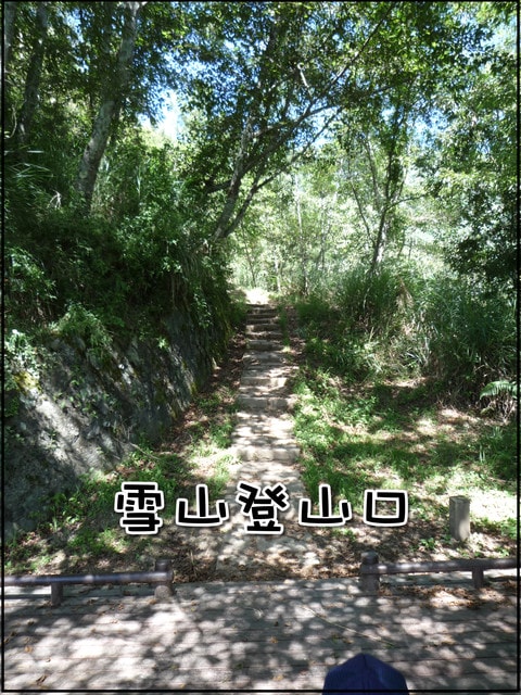 20250406-kf5gn