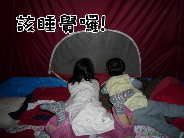 20250406-pjyum