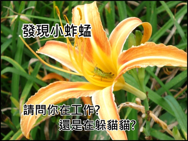 20250406-u6w0i