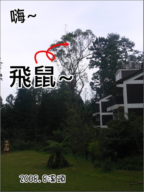 20250406-c07ut